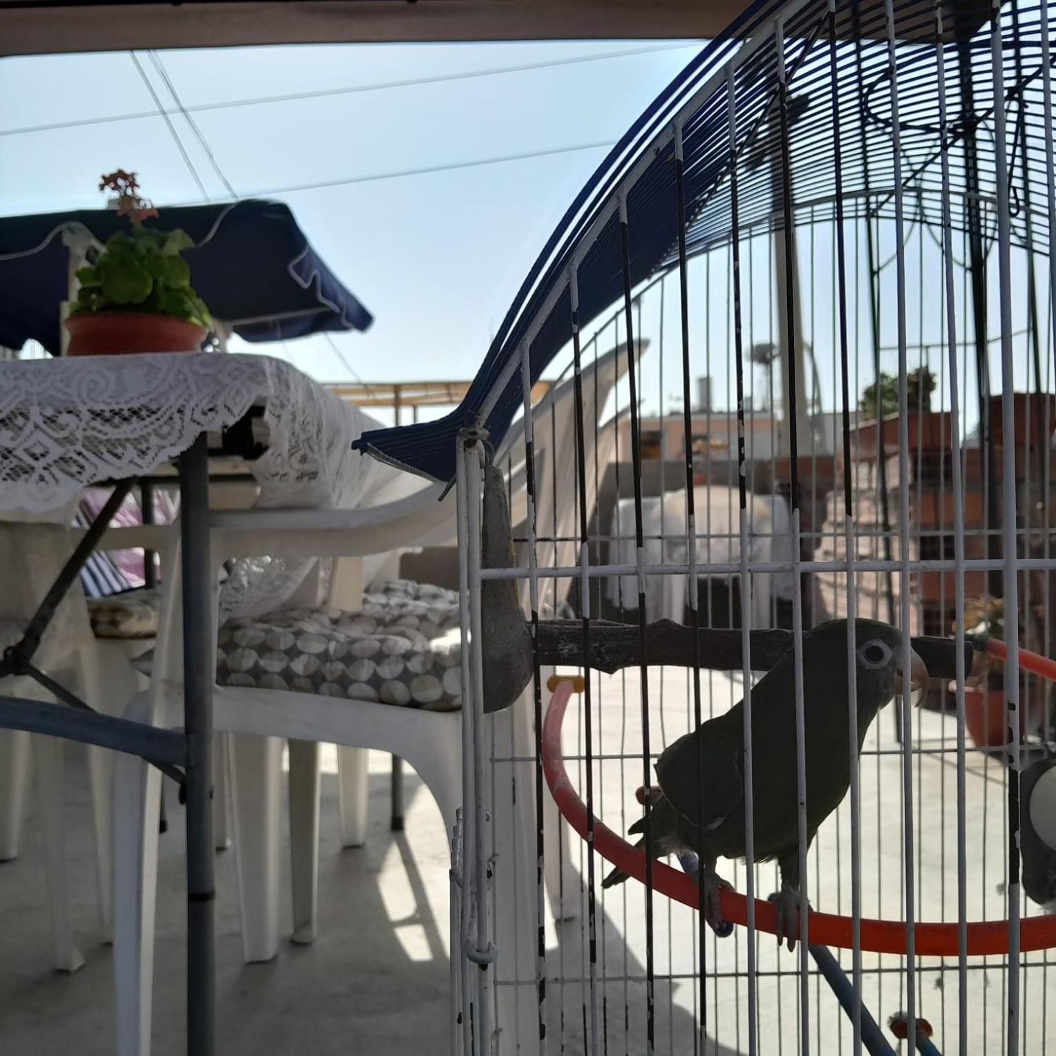 Akao House Hotel Arequipa Kültér fotó